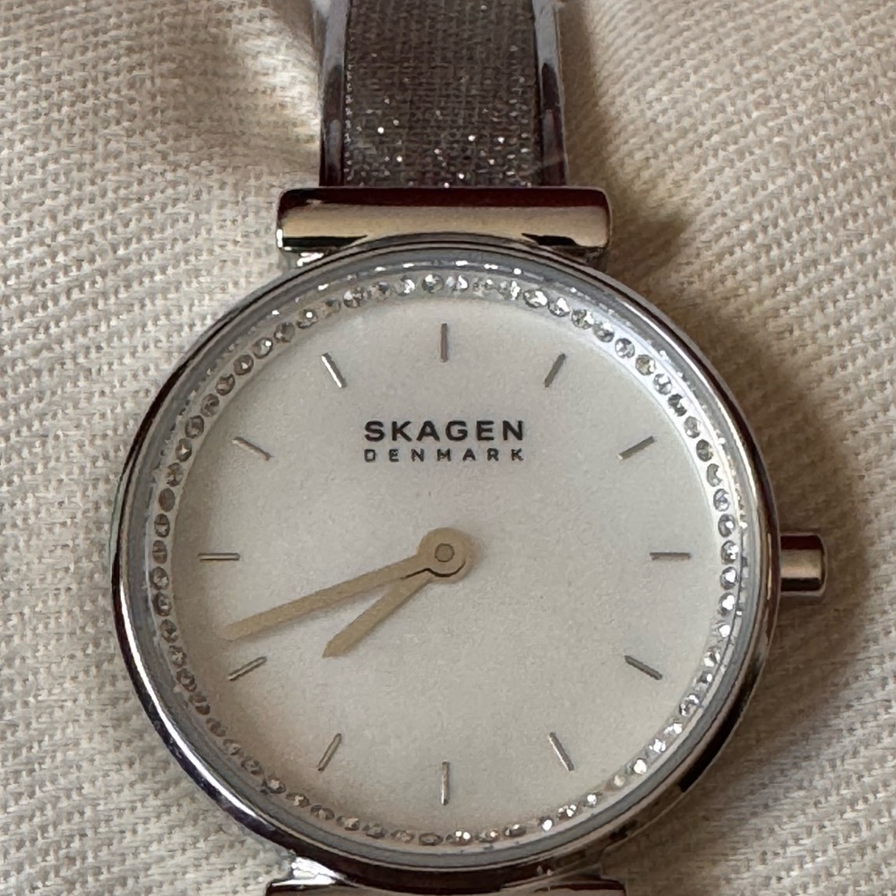 Skagen Silver-Tone Watch with Crystal Details